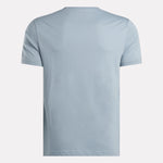 Remera Reebok Identity Big Logo Tee