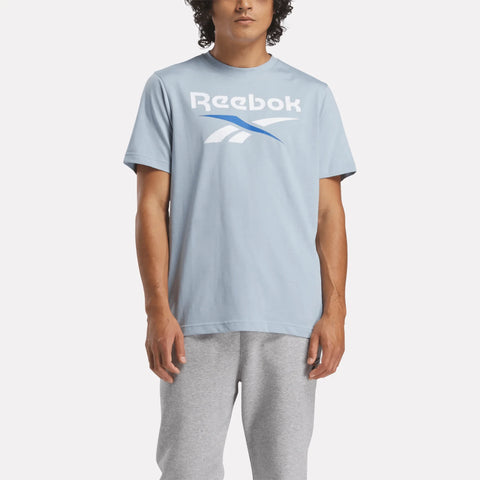 Remera Reebok Identity Big Logo Tee