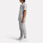 Remera Reebok Identity Big Logo Tee