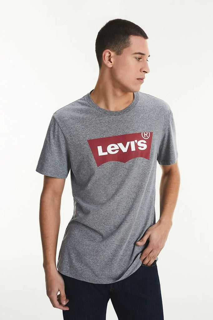 Remera Levis Standard Graphic Crew Batwing Bambaci