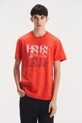 Remera Levis Graphic Set In Neck Multi Filled