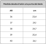 Bota Antartida