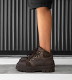 Borcego Arya